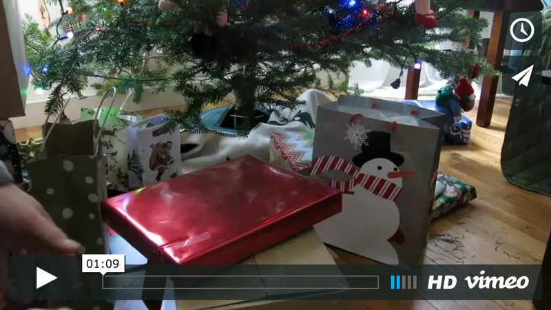 Update #15: A Christmas Surprise from Lumos!