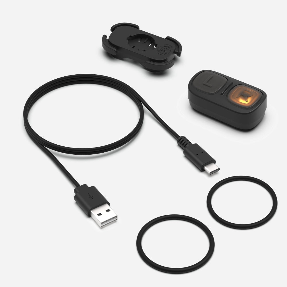 Lumos Remote (USB-C-Ladestation) + Lenkerhalterung
